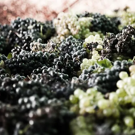 Tenuta Di Colle Alberti Agriturismo مزرعة للإقامة