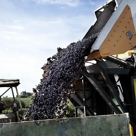 Tenuta Di Colle Alberti Agriturismo *