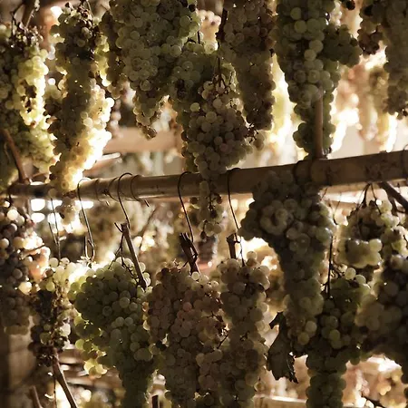 Tenuta Di Colle Alberti Agriturismo سيريتو غيدي