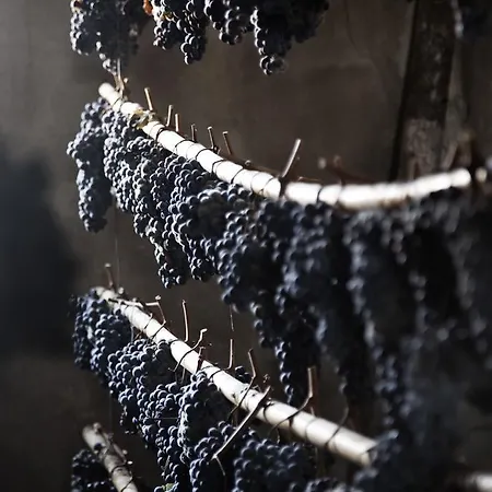 Tenuta Di Colle Alberti Agriturismo *