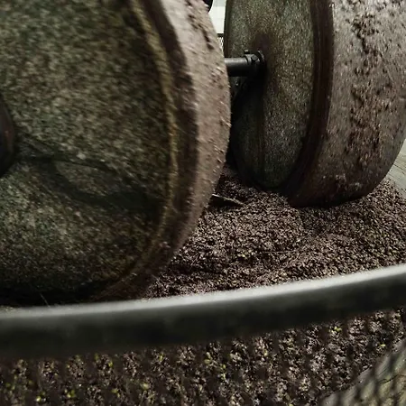 Tenuta Di Colle Alberti Agriturismo سيريتو غيدي