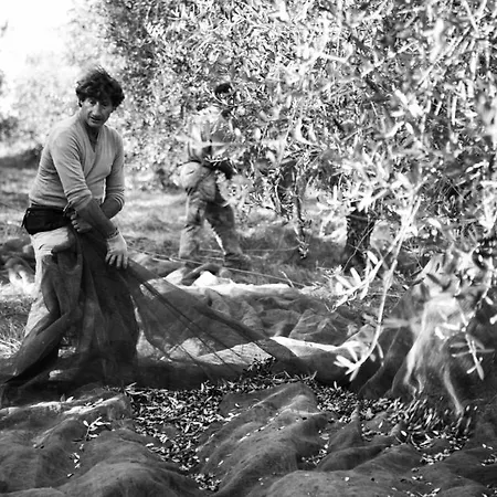 مزرعة للإقامة Tenuta Di Colle Alberti Agriturismo سيريتو غيدي