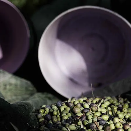 Tenuta Di Colle Alberti Agriturismo مزرعة للإقامة *