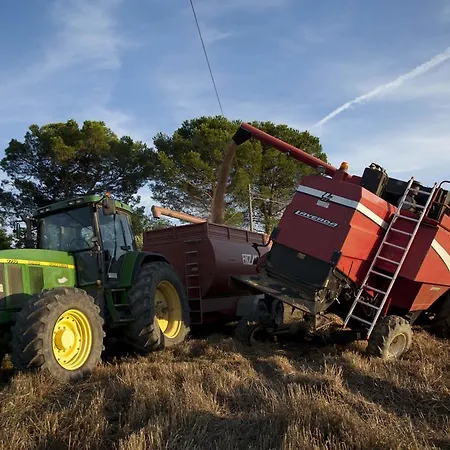 Tenuta Di Colle Alberti Agriturismo * سيريتو غيدي