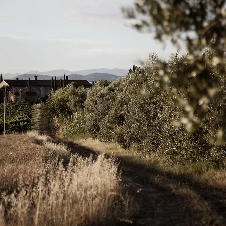 مزرعة للإقامة Tenuta Di Colle Alberti Agriturismo *