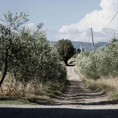 Tenuta Di Colle Alberti Agriturismo * Cerreto Guidi