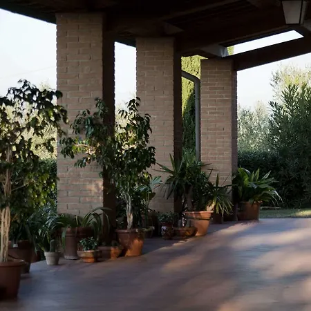 Tenuta Di Colle Alberti Agriturismo مزرعة للإقامة سيريتو غيدي