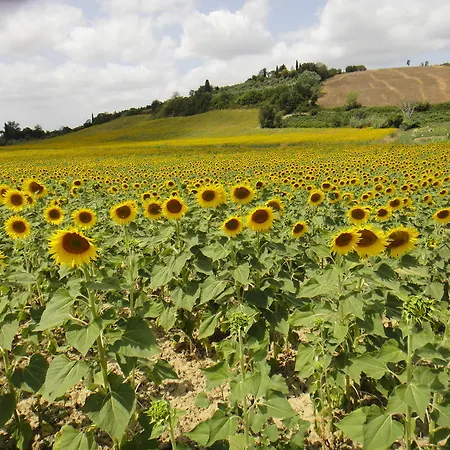 Tenuta Di Colle Alberti Agriturismo مزرعة للإقامة *