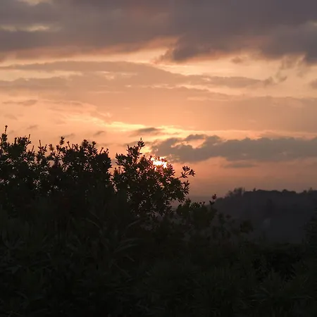 Tenuta Di Colle Alberti Agriturismo